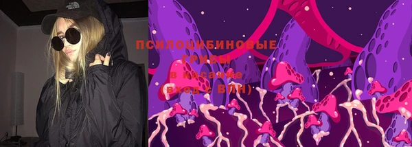 ALPHA PVP Гусев