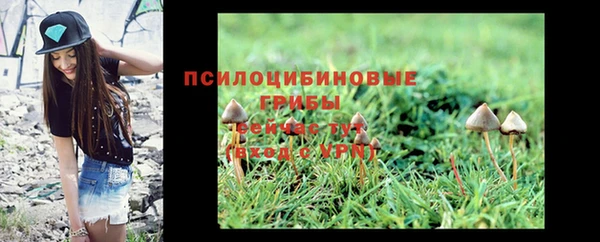 первитин Белоозёрский