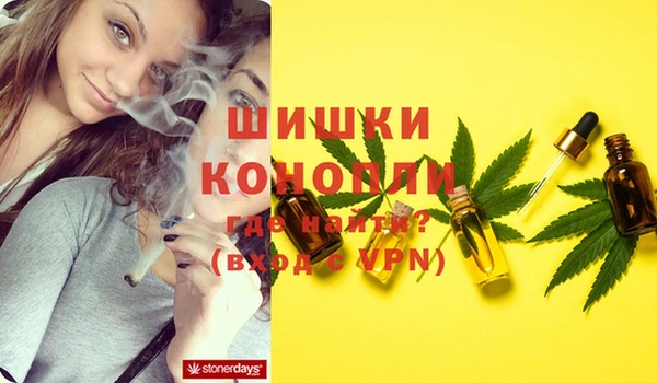 спиды Белокуриха