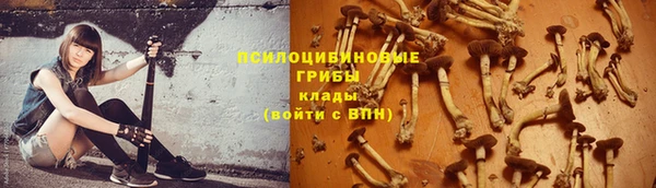 первитин Белоозёрский