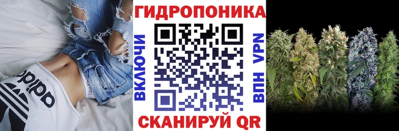 цена наркотик  Облучье  Бошки марихуана тримм 